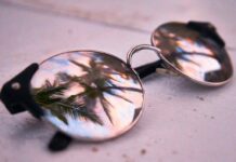 Gafas con reflejos de plantas