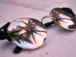 Gafas con reflejos de plantas