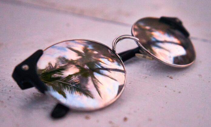 Gafas con reflejos de plantas